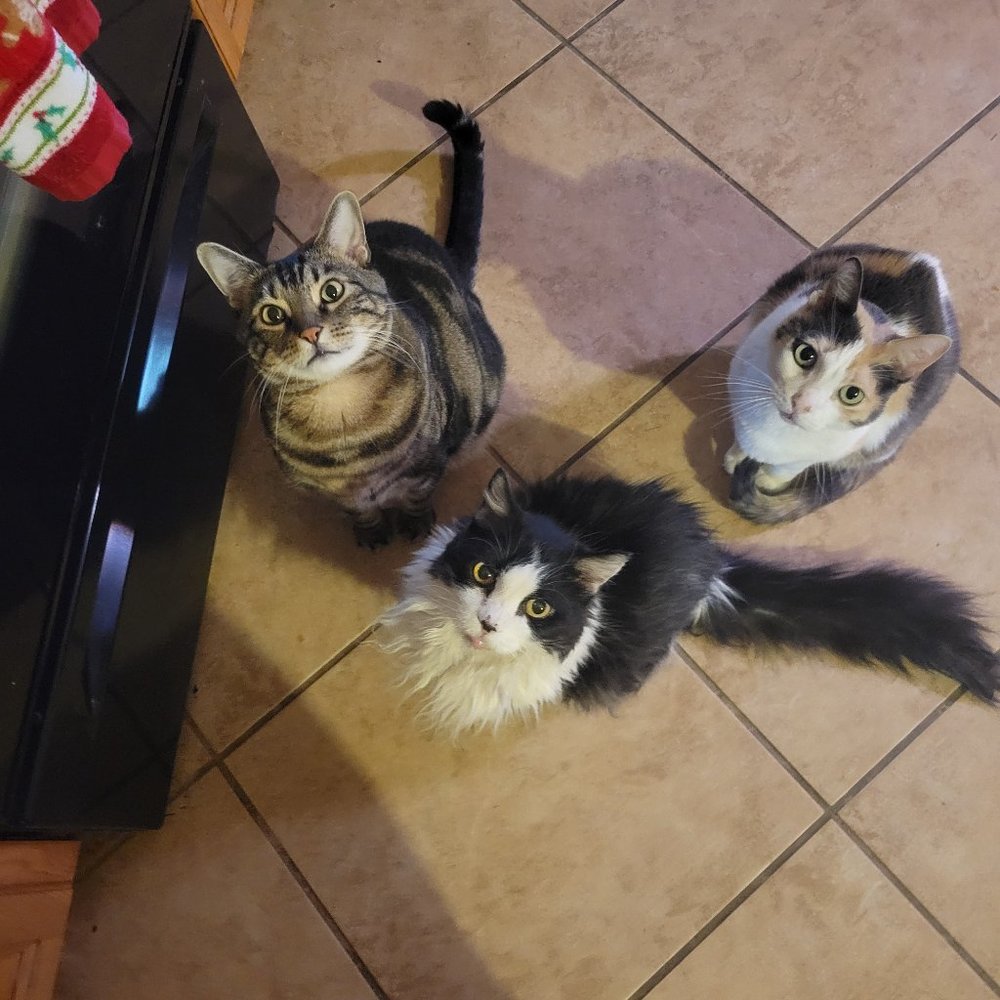 Meet your Posher, Jennifer